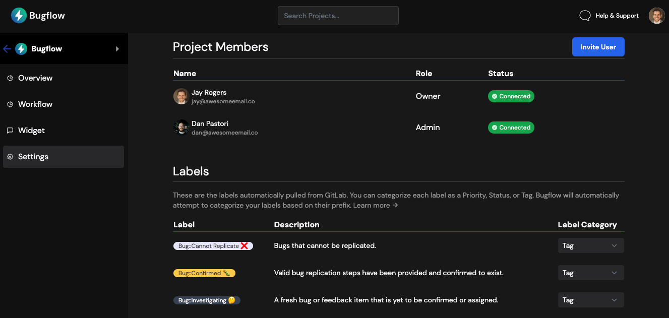 Project Settings in Bugflow